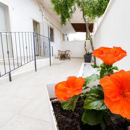 סן פייטרו אין בוואניה B&B Macchia Mediterranea מראה חיצוני תמונה