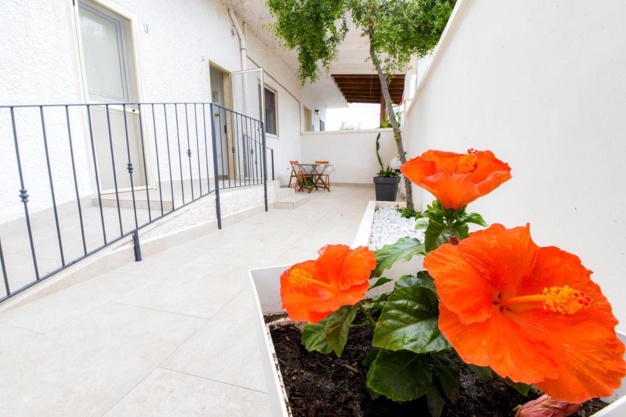 סן פייטרו אין בוואניה B&B Macchia Mediterranea מראה חיצוני תמונה